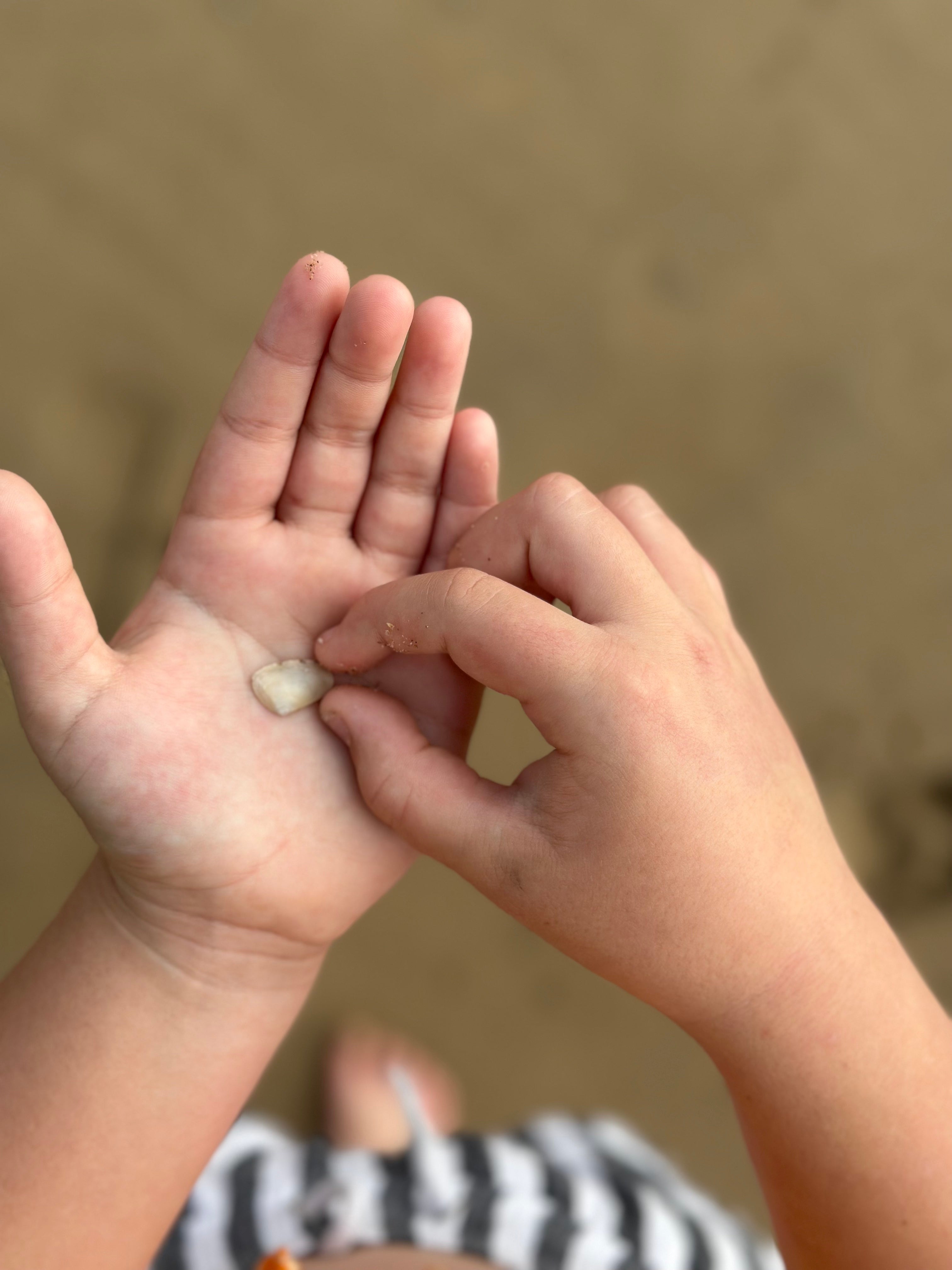 Real World Repair Hand Cream - Hoheria, Pōhutukawa & Mandarin 50ml